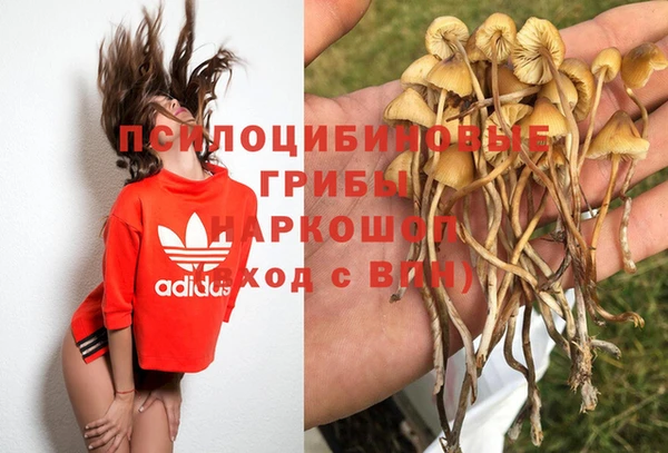 ALPHA PVP Горняк