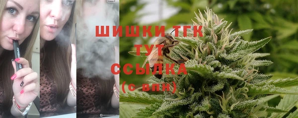 гидра Сатка