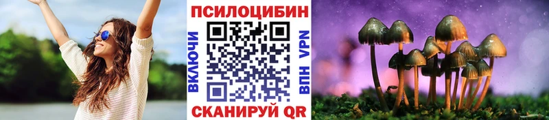 Псилоцибиновые грибы прущие грибы Дмитров
